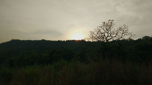 Scenic view of landscape against sky during sunset