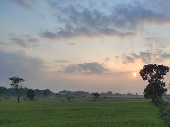 Scenic view of field against sky during sunset