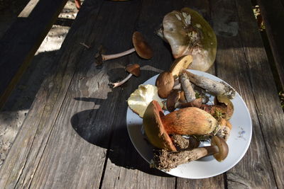 High angle view of crab on table