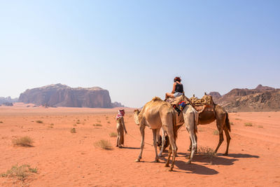 People riding horses in desert