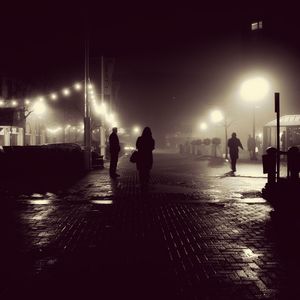 Silhouette people on wet illuminated street at night