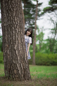 Trees in forest