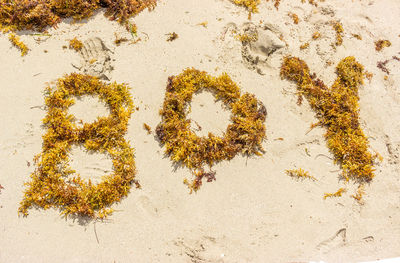 High angle view of text on sand