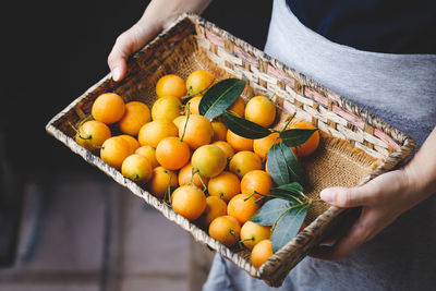 Midsection of person holding fruits in basket