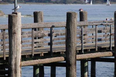 Wooden posts on pier over sea