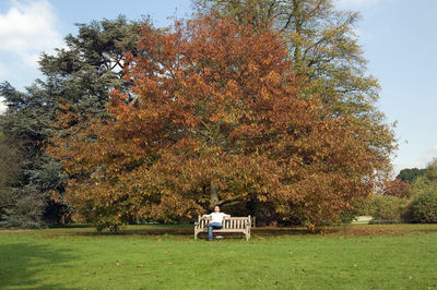 Men sitting on field against trees at park during autumn