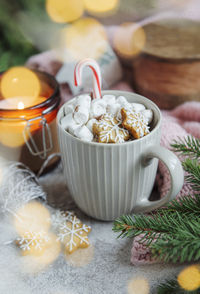 Christmas hot chocolate with marshmallow