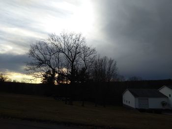 Bare trees on field against sky during sunset