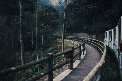 Footbridge over footpath amidst trees in forest