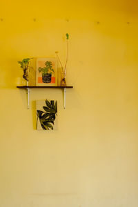 Potted plant hanging on yellow wall