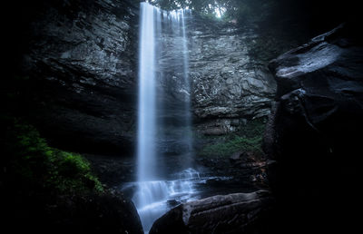 Low angle view of waterfall in forest