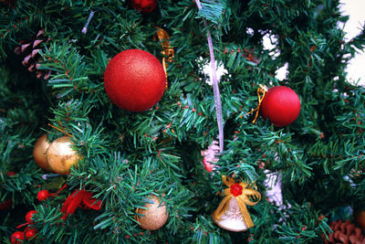 Close-up of christmas decorations on tree