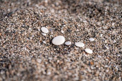 sand
