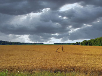 Scenic view of agricultural field against sky