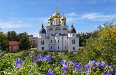 Golden shining cupola of orthodox church of dmitrov kremlin under summer blue with blue wild flowers