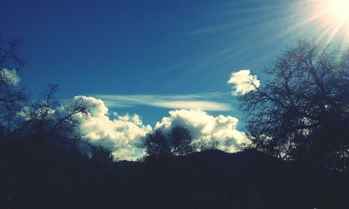 Low angle view of silhouette trees against blue sky