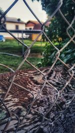 Close-up of chainlink fence