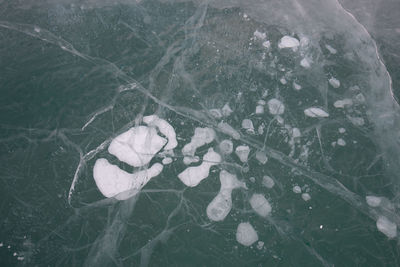 High angle view of leaf floating on water