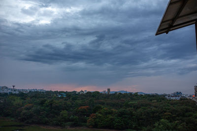 Plants and buildings against sky during sunset