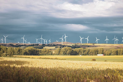 Windmills on field against sky