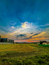 Scenic view of field against sky