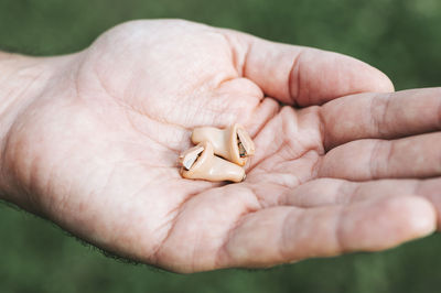 Close-up of person holding hands