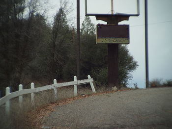 Information sign on tree trunk