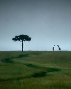 People on field against clear sky