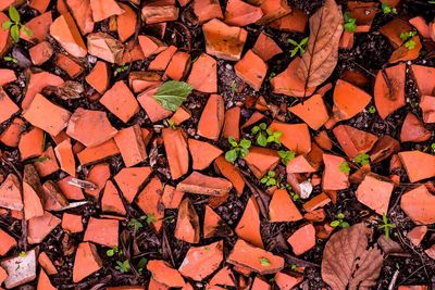 Full frame shot of brick wall