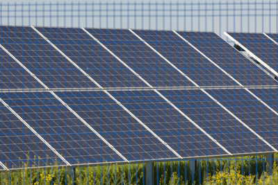 Low angle view of rainbow against blue sky