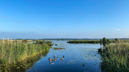 Scenic view of lake against blue sky