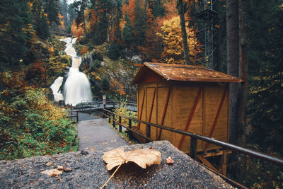 Traditional windmill in forest during autumn