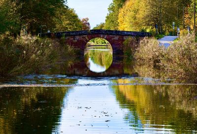 Bridge over river against trees