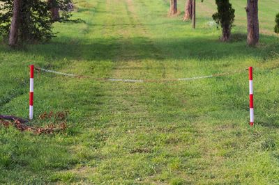 Trees on grass