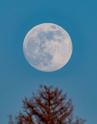 Low angle view of moon against blue sky