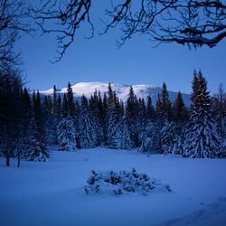 Snow covered landscape against sky