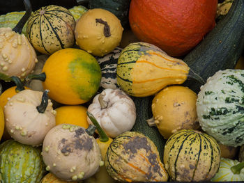 High angle view of pumpkins in market