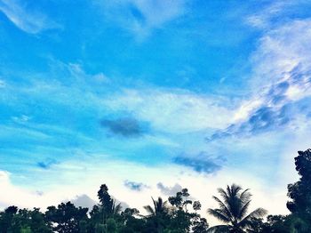 Low angle view of trees against blue sky