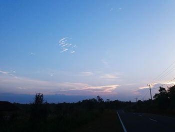 Trees against sky at night