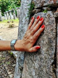 Close-up of woman hand on tree trunk