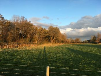 Scenic view of field against sky