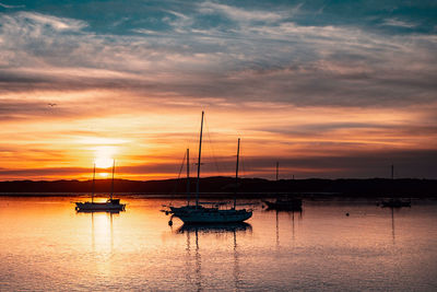 Boats in marina at sunset