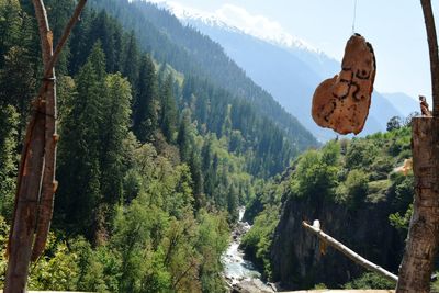 Panoramic view of trees and mountains in forest