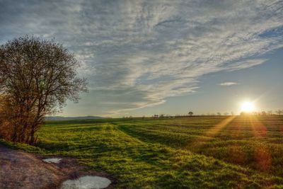 Scenic view of grassy field against sky at sunset