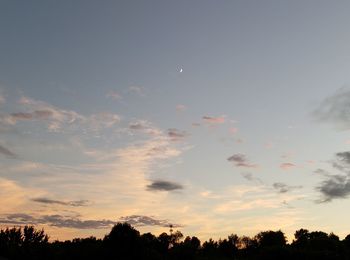 Low angle view of silhouette trees against sky during sunset