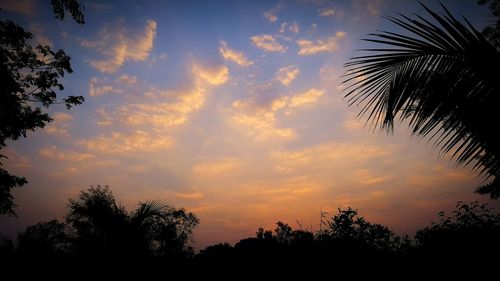 Low angle view of silhouette trees against sky at sunset