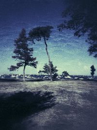 Trees against blue sky
