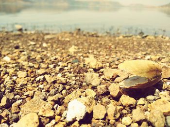 Close-up of pebbles on beach against sky