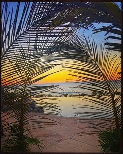 Palm tree by swimming pool against sky