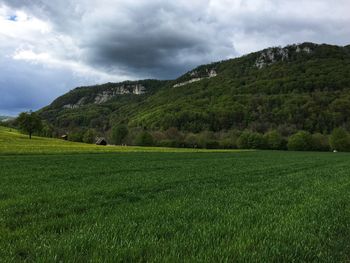 Scenic view of field against sky